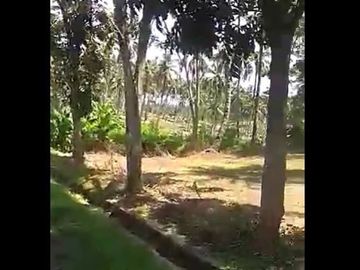 Dijual Tanah 400 Hektar Di Tegal Buleud Sukabumi