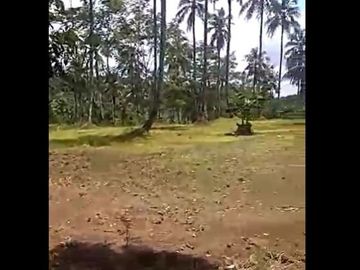 Dijual Tanah 400 Hektar Di Tegal Buleud Sukabumi
