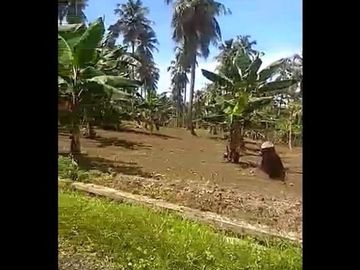 Dijual Tanah 400 Hektar Di Tegal Buleud Sukabumi