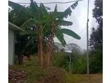 VENDO TERRENO EN LA CHORRERA CAPIRA LIDICE 150000MTS