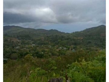 VENDO TERRENO EN LA CHORRERA CAPIRA LIDICE 150000MTS