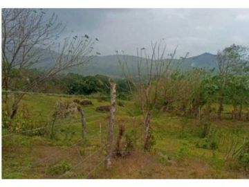 VENDO TERRENO EN LA CHORRERA CAPIRA LIDICE 150000MTS