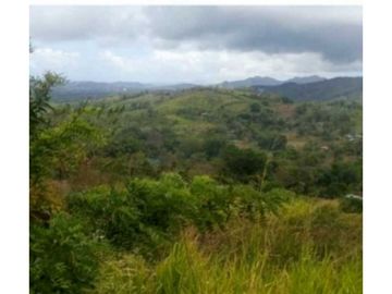 VENDO TERRENO EN LA CHORRERA CAPIRA LIDICE 150000MTS