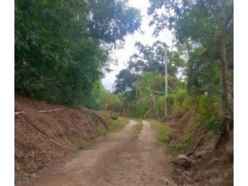 VENDO TERRENO EN LA CHORRERA CAPIRA LIDICE 150000MTS
