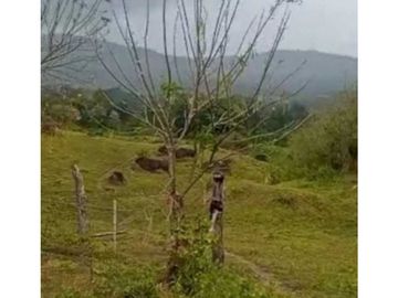 VENDO TERRENO EN LA CHORRERA CAPIRA LIDICE 150000MTS