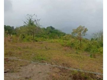 VENDO TERRENO EN LA CHORRERA CAPIRA LIDICE 150000MTS