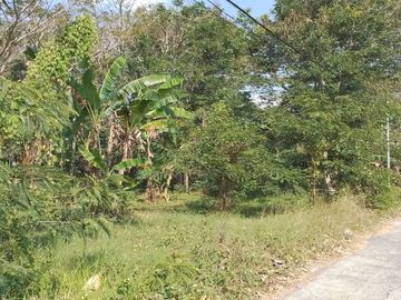 Pekarangan SHM Bisa Dicicil Dekat Koramil Ngombol