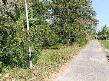 Pekarangan SHM Bisa Dicicil Dekat Koramil Ngombol