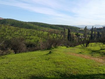 Los Maitenes, Peñablanca. Villa Alemana