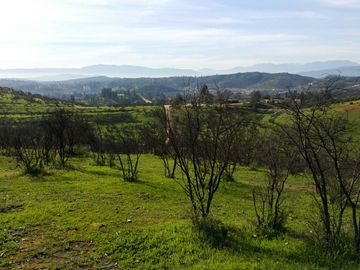 Los Maitenes, Peñablanca. Villa Alemana