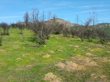Los Maitenes, Peñablanca. Villa Alemana