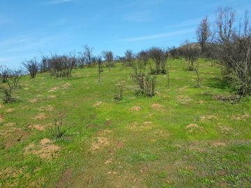 Los Maitenes, Peñablanca. Villa Alemana