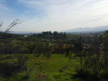 Los Maitenes, Peñablanca. Villa Alemana