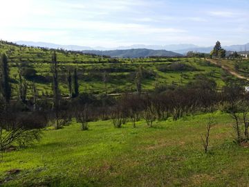 Los Maitenes, Peñablanca. Villa Alemana