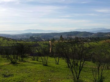 Los Maitenes, Peñablanca. Villa Alemana
