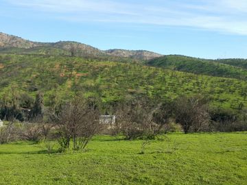 Los Maitenes, Peñablanca. Villa Alemana