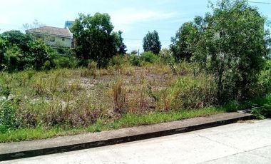 163 Sqm Lot for Sale in Bulacao Talisay Cebu City VISTA GRANDE With SEAVIEW