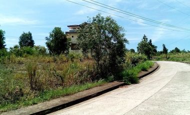 163 Sqm Lot for Sale in Bulacao Talisay Cebu City VISTA GRANDE With SEAVIEW