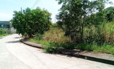 163 Sqm Lot for Sale in Bulacao Talisay Cebu City VISTA GRANDE With SEAVIEW