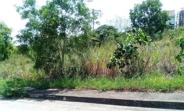 163 Sqm Lot for Sale in Bulacao Talisay Cebu City VISTA GRANDE With SEAVIEW
