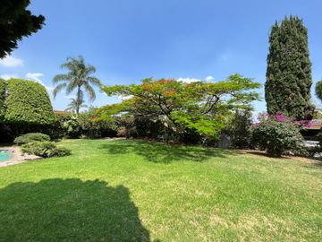 Zona Norte arbolada