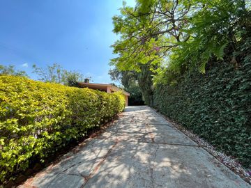 Zona Norte arbolada