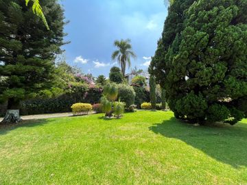 Zona Norte arbolada