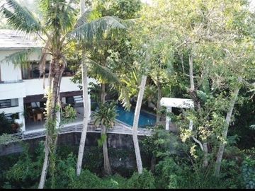 For sale villa view of rice fields, river and jungle near Canggu Bali