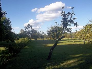 Quinta en Venta M. Romero