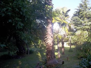 Quinta en Venta M. Romero