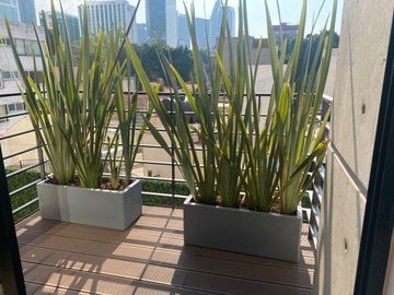 Cuauhtémoc Venta excelentes  Departamentos con balcon para Estrenar