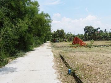 12X Cicil Tanpa Bunga, Kavling Perumahan Akses Tol Depok-Antarsari