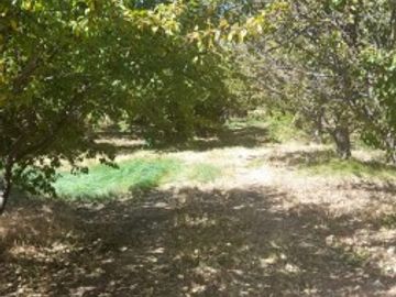 Oportunidad de InversiÃ³n Hermosa parcela sobre Ruta 40