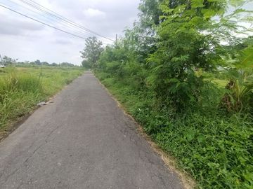 Tanah Murah Strategis Di Jl. Kabupaten Trihanggo Dalam Ringroad
