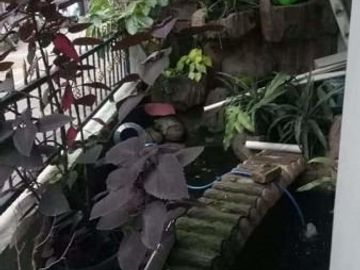 Rumah randusari antapani dekat arcamanik, cisaranten bandung