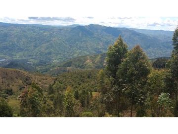 VENDO CASA FINCA VIA BARBOSA CONCEPCION ANTIOQUIA.