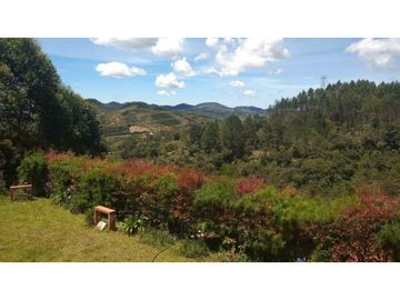VENDO CASA FINCA VIA BARBOSA CONCEPCION ANTIOQUIA.