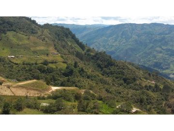 VENDO CASA FINCA VIA BARBOSA CONCEPCION ANTIOQUIA.