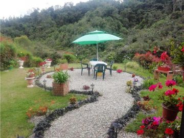 VENDO CASA FINCA VIA BARBOSA CONCEPCION ANTIOQUIA.