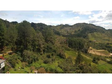 VENDO CASA FINCA VIA BARBOSA CONCEPCION ANTIOQUIA.