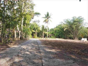 Cuma 600Rb/Meter: Tanah Murah Purworejo