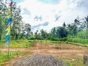 Tanah di kepanjen harga murah