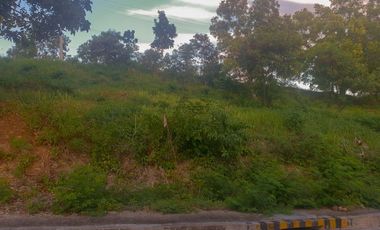 157 Sqm Lot for Sale in Vista Grande Talisay Cebu City Phase 2 near the clubhouse