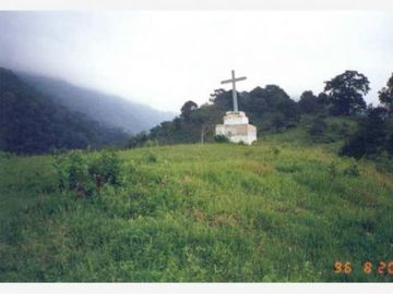 VT-063 RANCHO CAFETALERO PRODUCTIVO EN, Villaflores, Chiapas