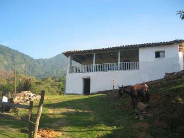 VT-063 RANCHO CAFETALERO PRODUCTIVO EN, Villaflores, Chiapas