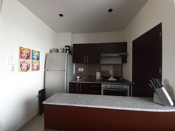 Departamento en amueblado en renta en colonia Nochebuena