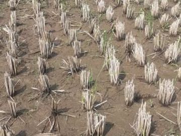 Tanah Dijual di Cibiru Bandung