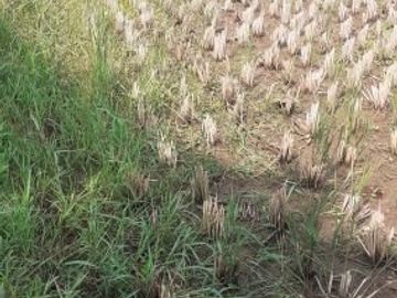 Tanah Dijual di Cibiru Bandung