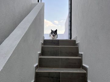 OPORTUNIDAD PREVENTA DE CASA CON DISEÑO EXCLUSIVO