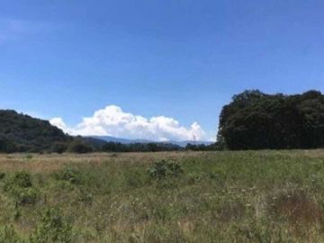 Excelente terreno con arboles frutales, pozo y servicios, magnífico precio